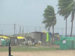 
      
      Cyclone Michaung weakens into deep depression: IMD
      
      