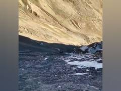 
      
      J-K: Vehicle plunges into gorge in Ganderbal; several feared dead
      
      