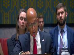 
      
      US does not support calls for immediate ceasefire in Gaza
      
      