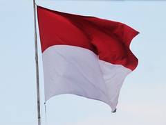 
      
      Indonesia proposes free entry visas for travellers from 20 countr
      
      