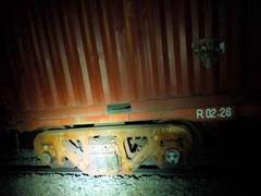 
      
      Maharashtra: Two coaches of goods train derail near Kasara 
      
      