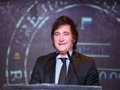 
      
      Javier Milei asks nation to brace for “painful economic shock