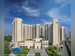 
      
      Ambience Group Promoter analyzes Trends in Residential Estates
      
      
