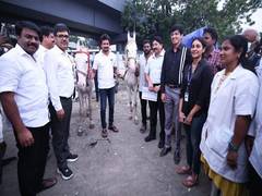 
      
      TN: Udhayanidhi distributes 136 kg horse feed to 200 horses
      
      