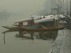
      
      Srinagar records minus 3.5 degree celsius as cold wave grips J-K
      
      