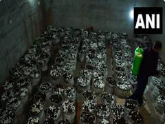 
      
      J-K: Udhampur farmers yield over 3,000 quintals of mushrooms
      
      