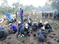 
      
      ONGC plants 5K saplings in Panvel 
      
      