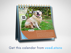 
      
      Unleash Joy in Every Month: VOSD 2024 Calendar Featuring Dogs
      
      