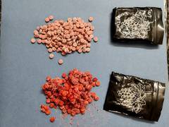 
      
      Guwahati: NCB seizes 7.198 kg of Methamphetamine, apprehends 5
      
      