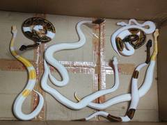 
      
      DRI seizes 9 pythons, 2 corn snakes from passenger's luggage 
      
      