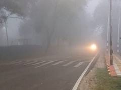 
      
      Haryana announces winter vacations in schools from Jan 1 to 15 
      
      