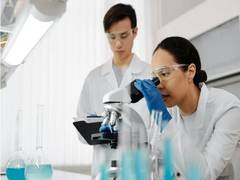 
      
      Immune cells connected with formation of lung before birth
      
      