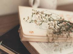 
      
      Poet Imroz’s departure marks end of literary love saga
      
      