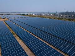 
      
      Adani Green concludes PPA for entire 8,000 MW SECI tender
      
      