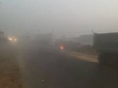 
      
      Dense fog envelopes parts of North India, reduces visibility
      
      