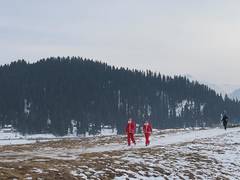 
      
      Gulmarg: J&K administration gears up for successful winter season
      
      