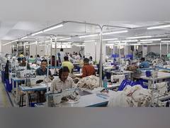 
      
      From Seed to Chic: Zyod's Sustainable Evolution
      
      