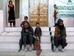 
      
      Over 500,000 Afghan immigrants repatriated by Pakistan so far
      
      