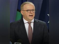 
      
      Australians on board Japan Airlines plane are 'safe': PM Albanes
      
      