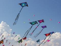 
      
      Vibrant Gujarat: Kite festival goes global, artisans get work
      
      