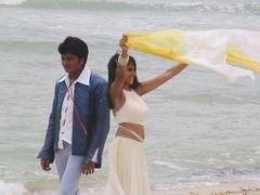 
      
      Riteish celebrates 21 years of his debut movie 'Tujhe Meri Kasam'
      
      