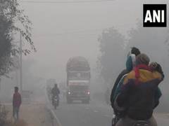 
      
      Delhi-NCR shivers in biting cold as temperature dips further
      
      