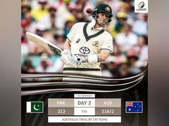 
      
      AUS vs PAK, 3rd Test: Australia at 116/2 at end of second session
      
      