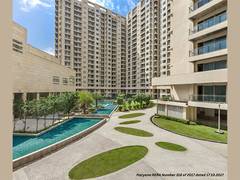 
      
      Ambience Group Owner Unveils Catalysts Driving Investment
      
      
