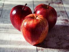 
      
      Himachal govt to start standardised apple packaging
      
      