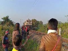 
      
      Wild elephant killed by speeding train in Assam's Jorhat 
      
      