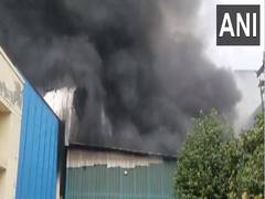
      
      Haryana: Fire breaks out in shoe factories in Bahadurgarh
      
      