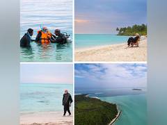 
      
      Google searches for beach destination Lakshadweep saw jump
      
      
