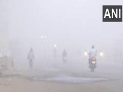 
      
      MP: Cold, dense fog engulfs in Bhopal 
      
      