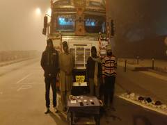 
      
      BSF thwarts cross-border cattle smuggling along Indo-Bangladesh 
      
      