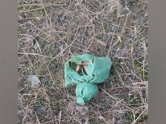 
      
      J-K: CRPF, police recover IEDs, bullets in Rajouri district
      
      