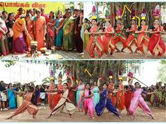 
      
      Pongal Fete Gets all its Rustic Charm at Dr. MGR-Janaki College 
      
      