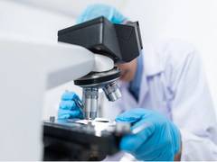
      
      Study gives new insights into fungal infections
      
      