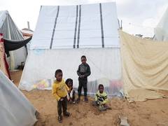 
      
      10,000 children killed in nearly 100 days in Gaza war: Report
      
      