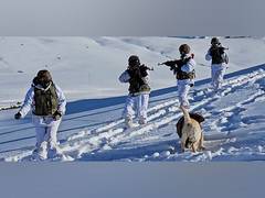 
      
      J-K: Indian Army Unit showcases avalanche rescue prowess on LoC i
      
      