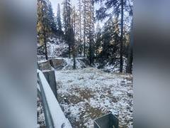 
      
      Higher reaches of Himachal Pradesh experience light snowfall
      
      