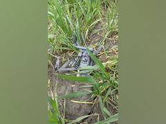 
      
      BSF recovers drone in broken condition in Tarn Taran
      
      