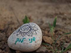 
      
      Knesset Caucus exposes Hamas' shocking sexual violence
      
      