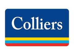 
      
      Colliers' Sankey Prasad appointed Chairman and Managing Director 
      
      