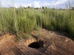 
      
      More than 70 die in artisanal gold mine collapse in Mali
      
      