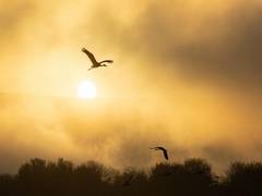 
      
      USD 1 Million climate prize awarded to three Israeli projects
      
      