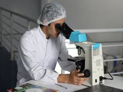 
      
      Research shows how obesity dismantles our mitochondria
      
      