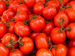 
      
      Tomato juice's antibacterial properties can kill salmonella
      
      
