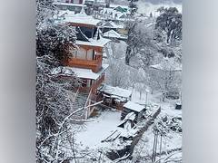
      
      Tourism hopes brighten as Himachal receives fresh snowfall 
      
      