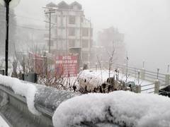 
      
      Himachal Pradesh's higher ranges get snowfall, bringing cheer 
      
      