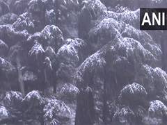 
      
      IMD predicts more rain, snowfall during next 48 hours in Himachal
      
      